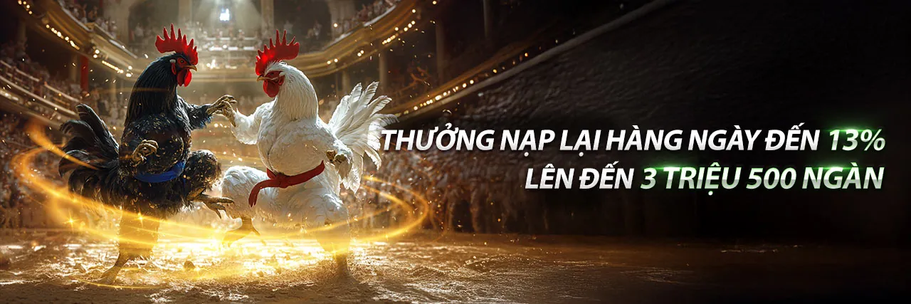 Tổng quan các môn thể thao i8bet